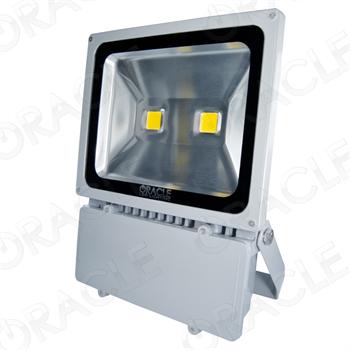 100w Led Indoor Outdoor Floodlight